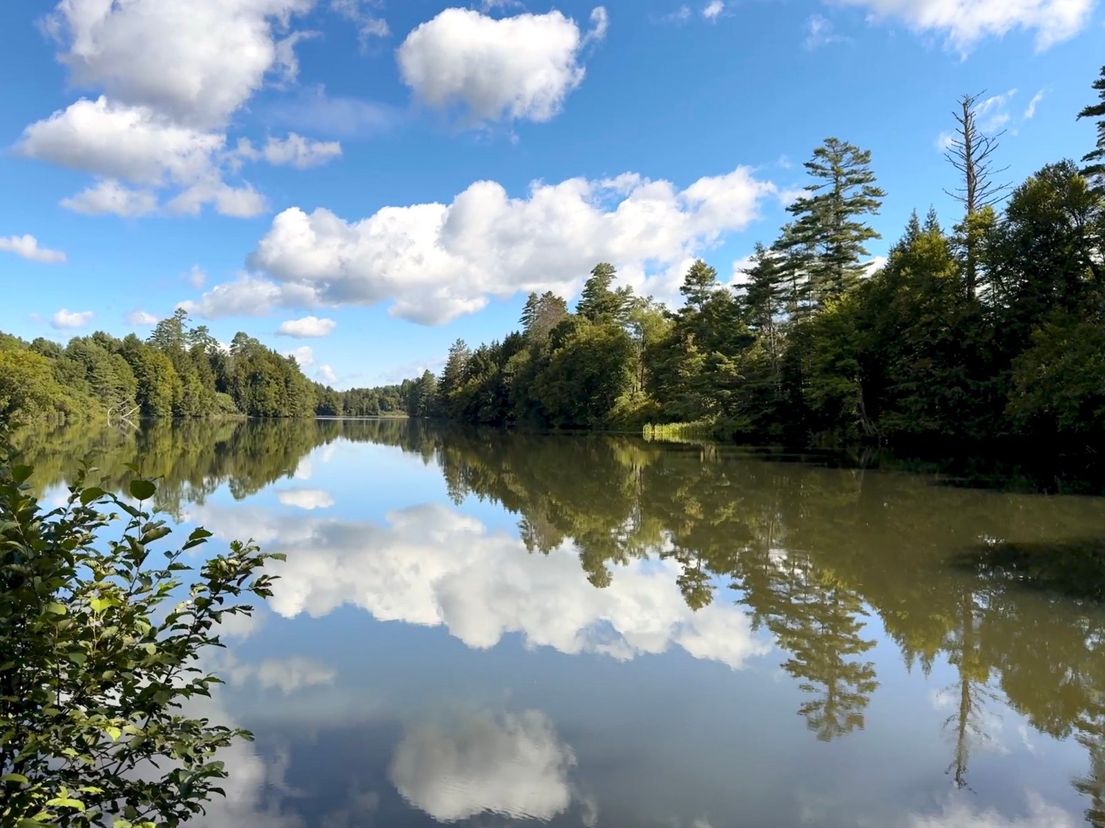 The North Montpelier millpond, mirror-still, reflecting clouds and the tree-lined shore.
